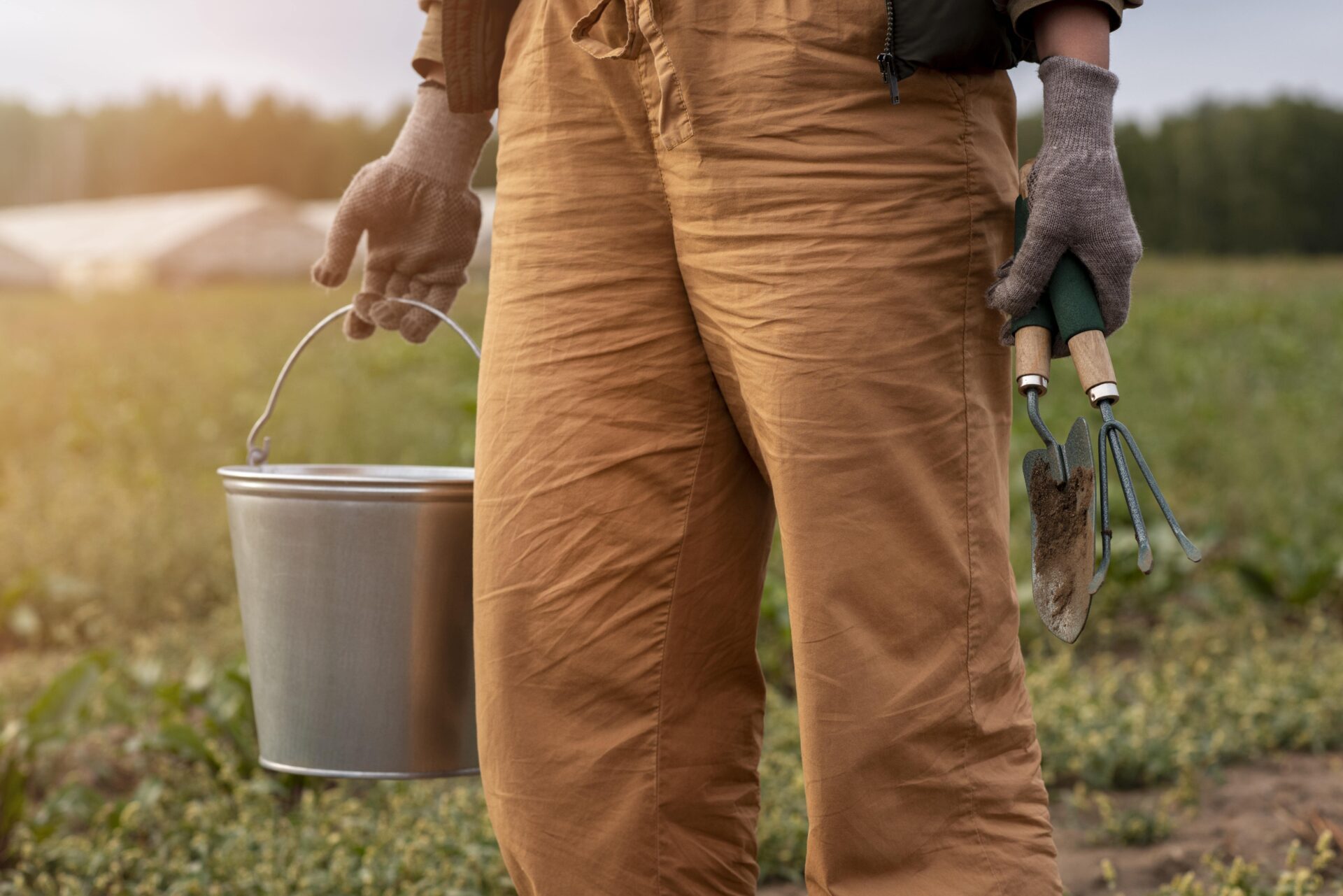 Organic farming techniques